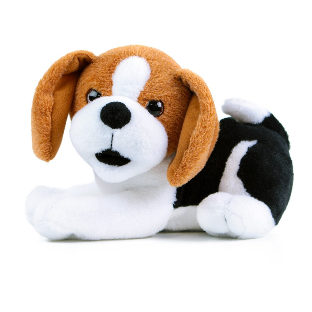 Dárky pro mazlíčky