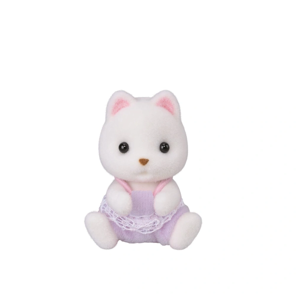 Pomeranian dvojčata baby