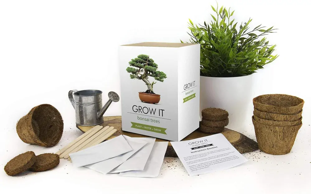 Gift Republic Sada na vypěstování Bonsai