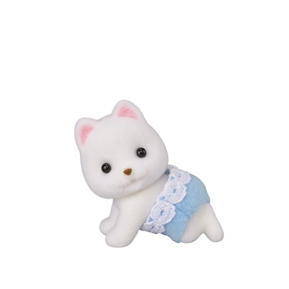 Pomeranian dvojčata baby