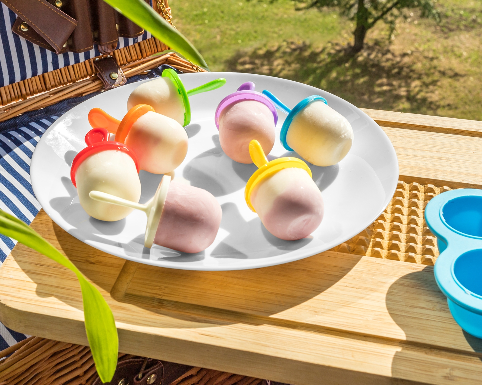 Forma na ledňáčky