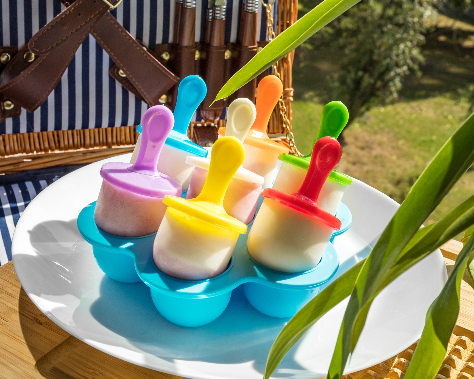 Forma na ledňáčky