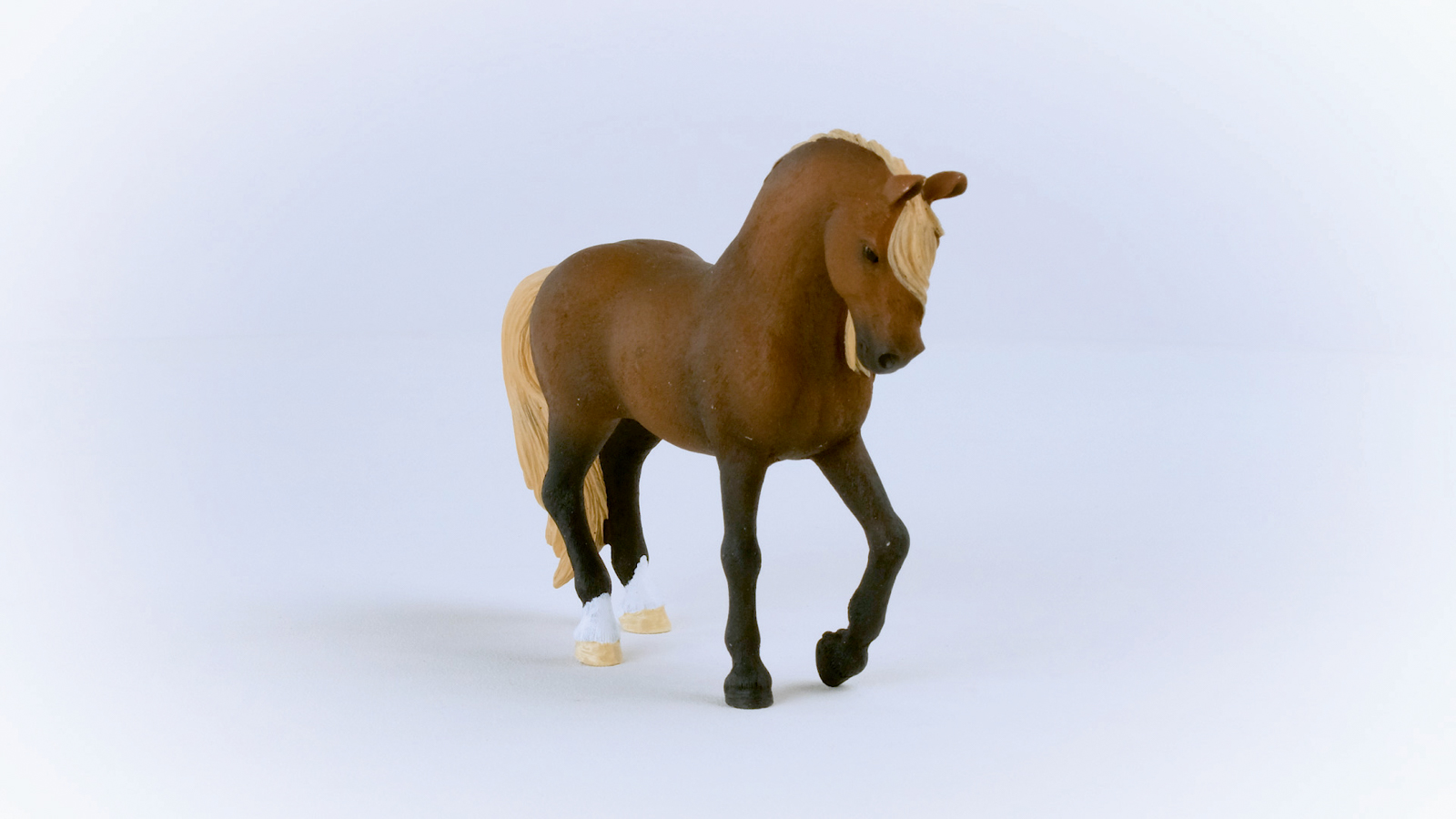 Zvířátko - Hřebec plemene peruánský paso