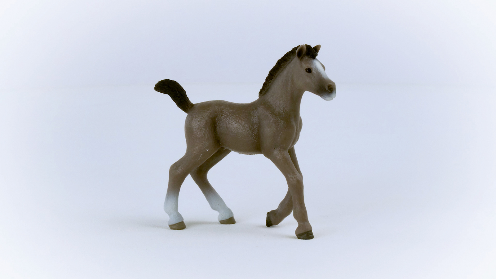 Zvířátko - Hříbě plemene Selle Français