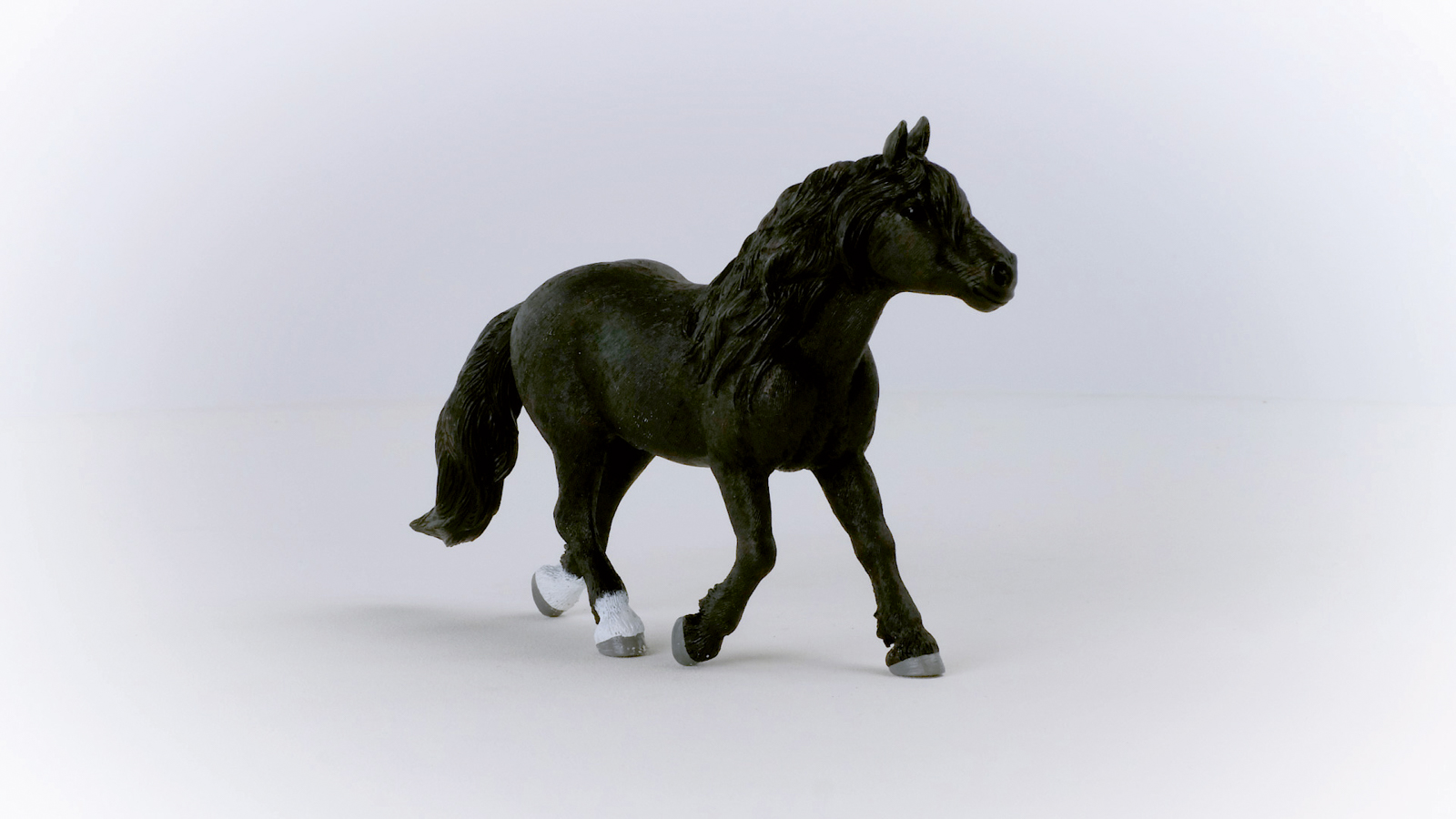 Zvířátko - Norický hřebec