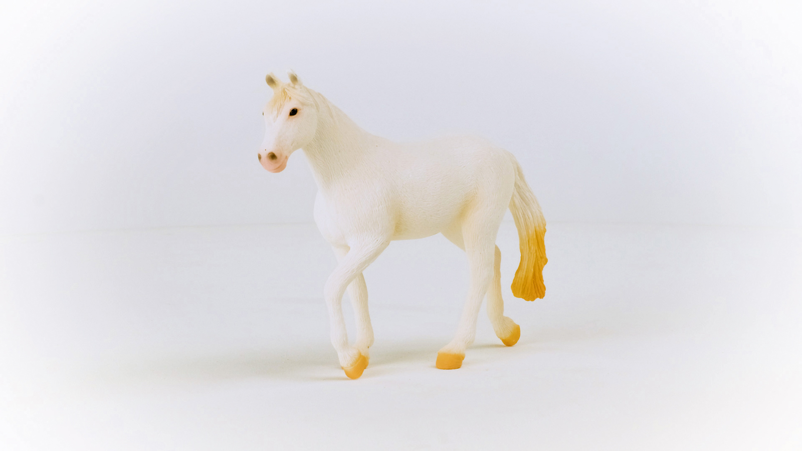 Zvířátko - Klisna plemene Camarillo