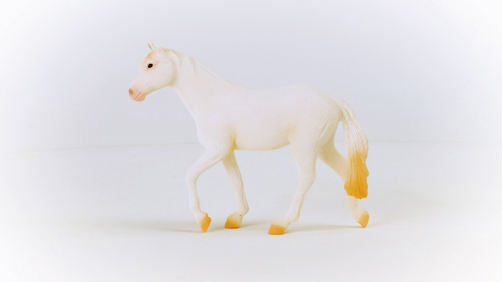 Zvířátko - Klisna plemene Camarillo