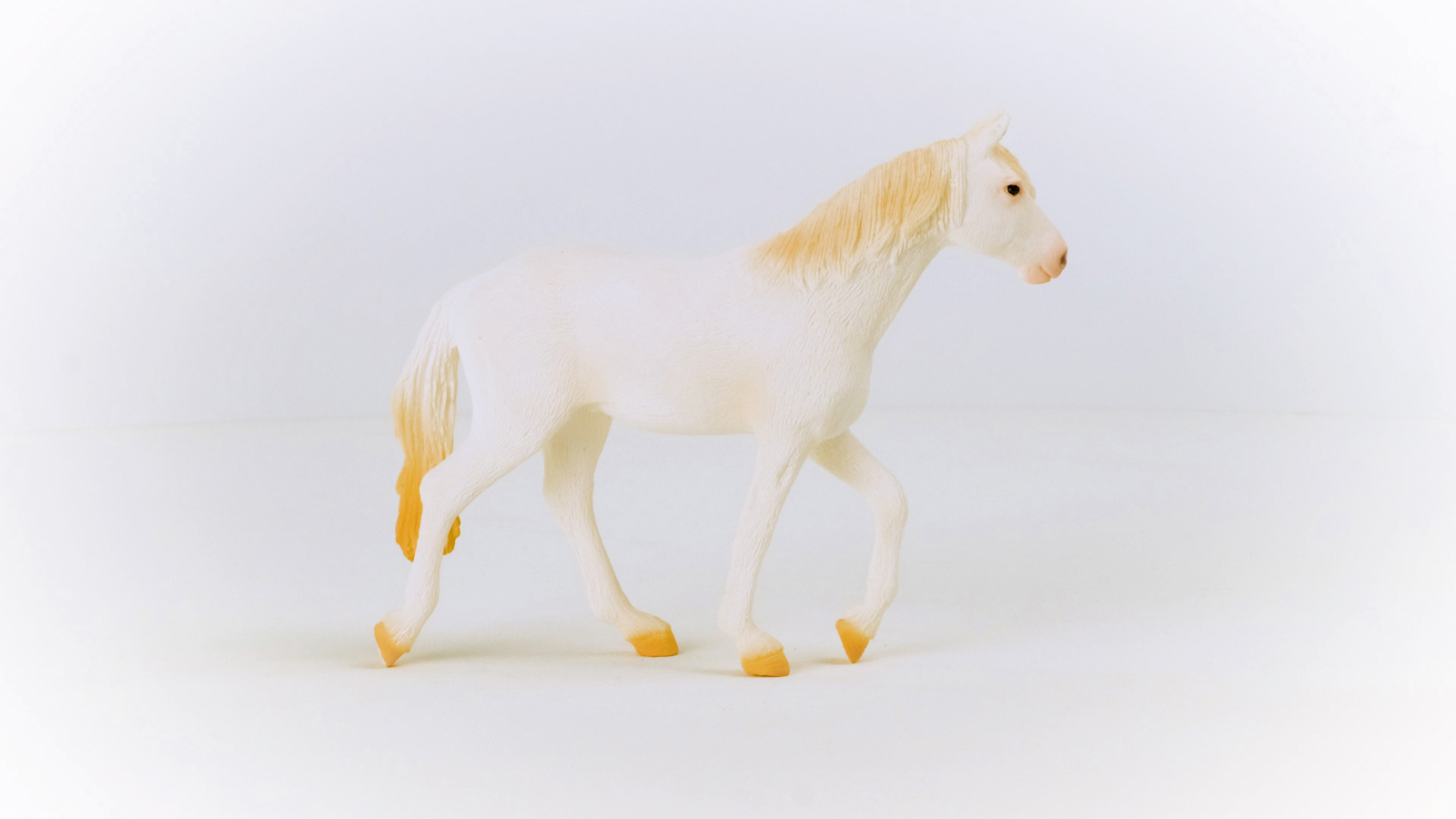 Zvířátko - Klisna plemene Camarillo