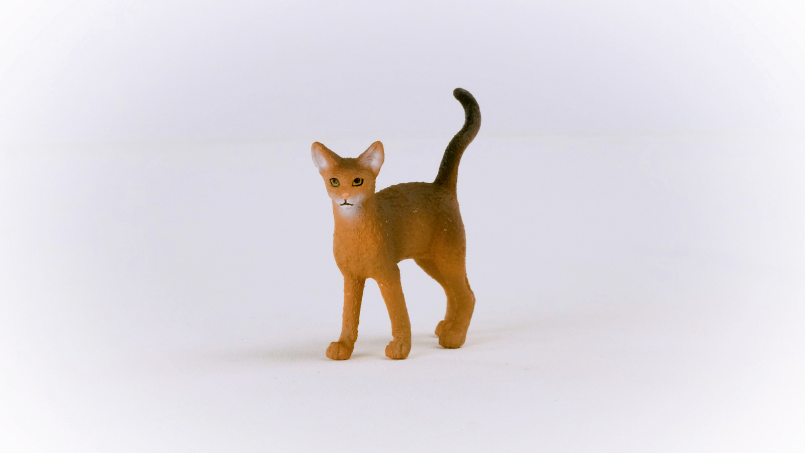 Zvířátko - Habešská kočka