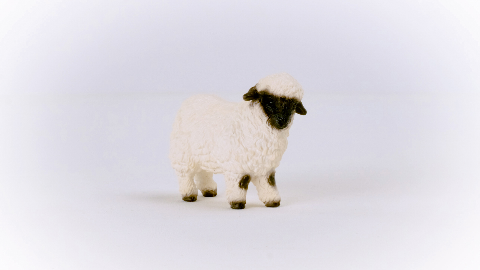 Zvířátko - Valašská černostrakatá ovce