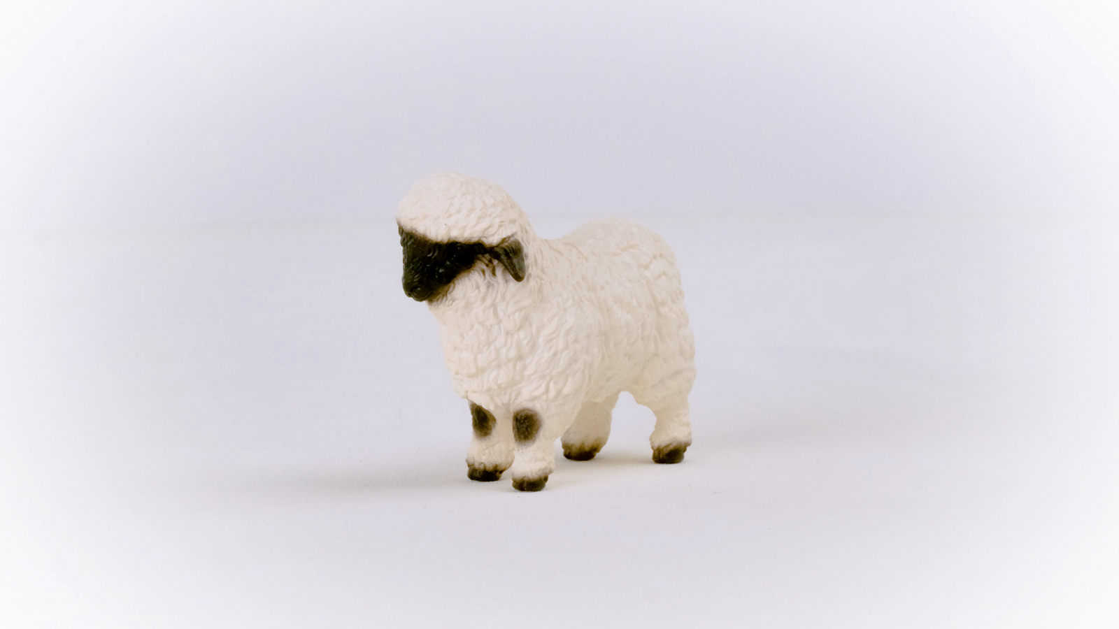 Zvířátko - Valašská černostrakatá ovce