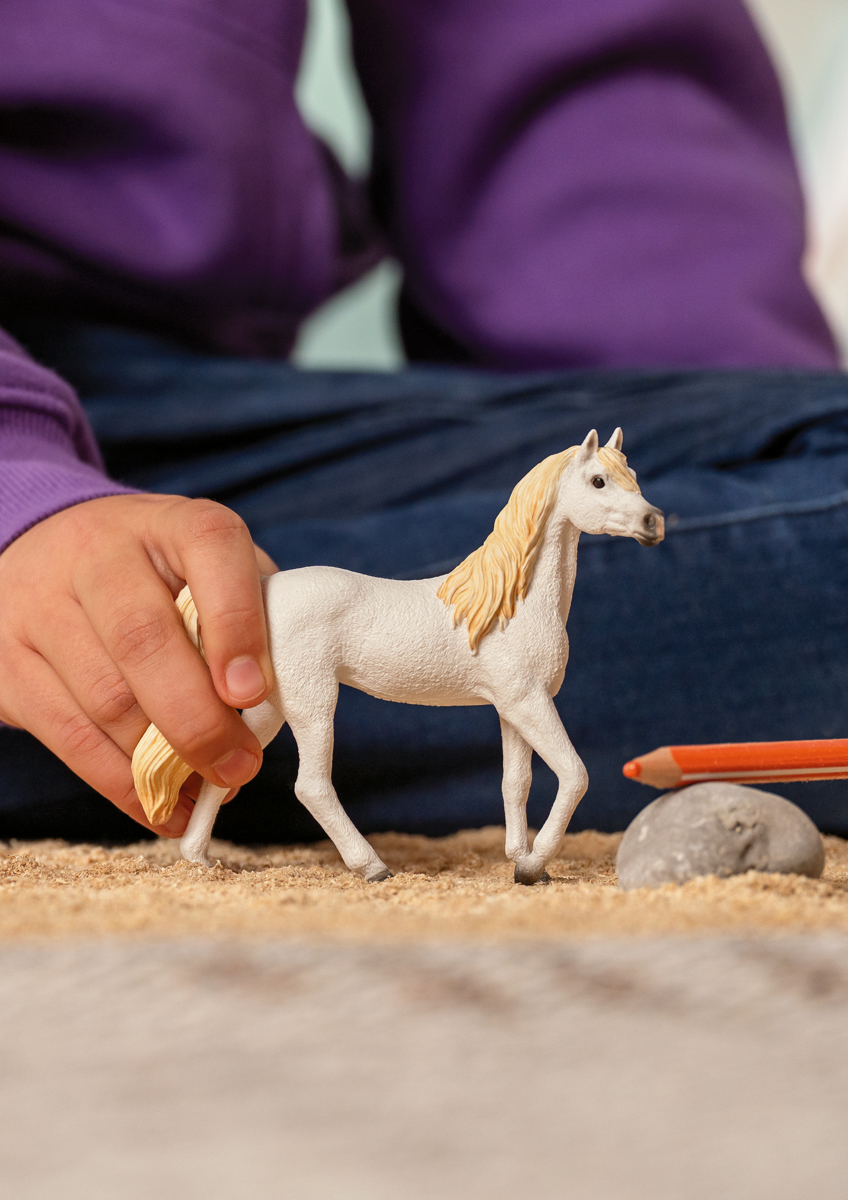 Zvířátko - arabská klisna