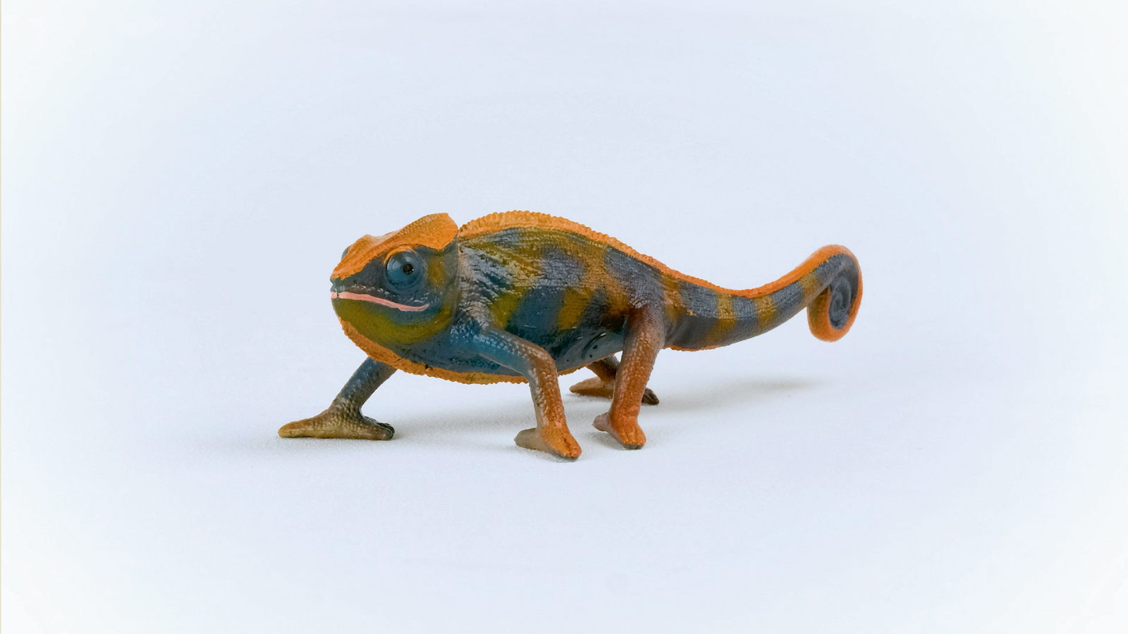 Zvířátko - Chameleon