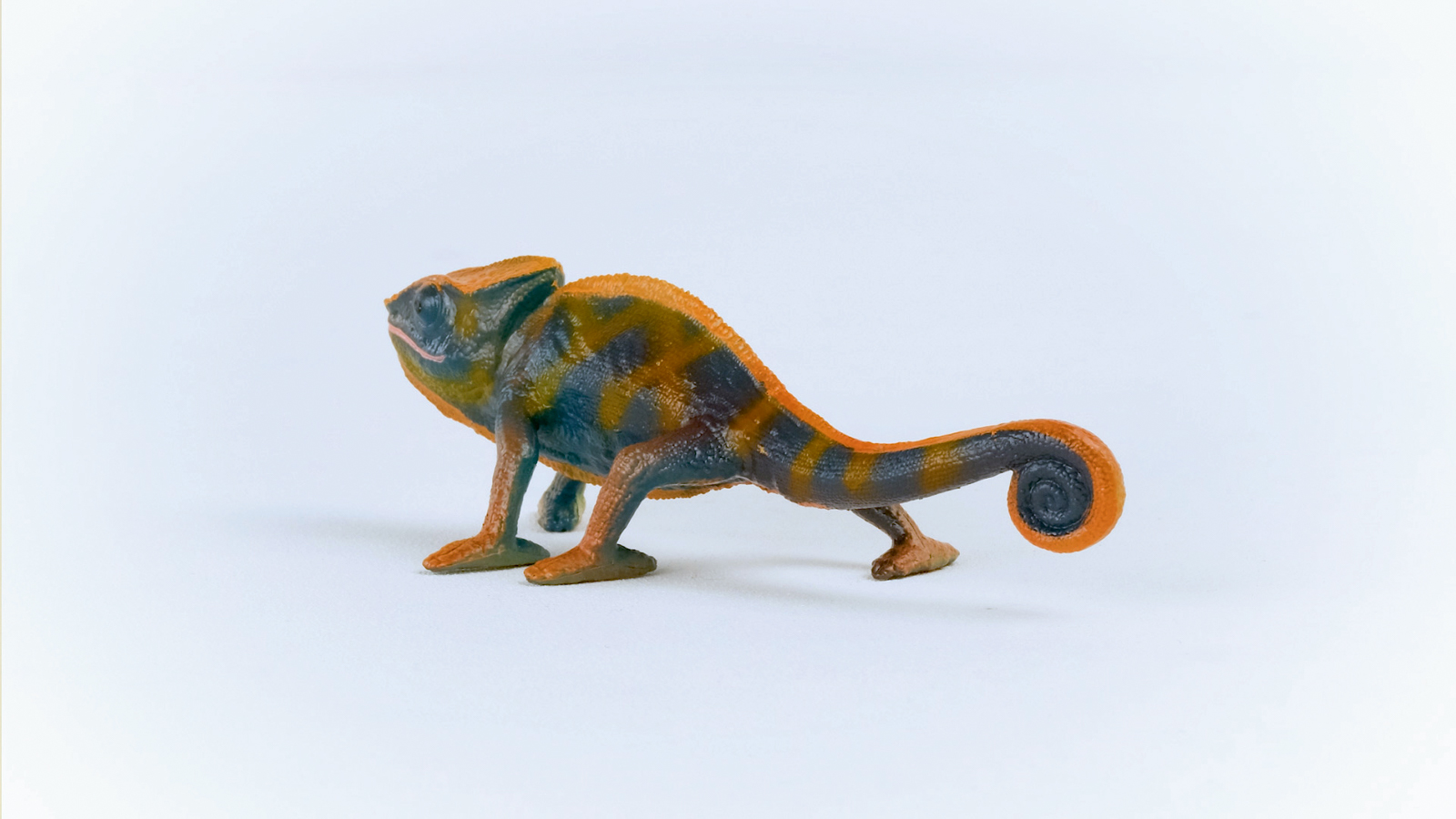 Zvířátko - Chameleon