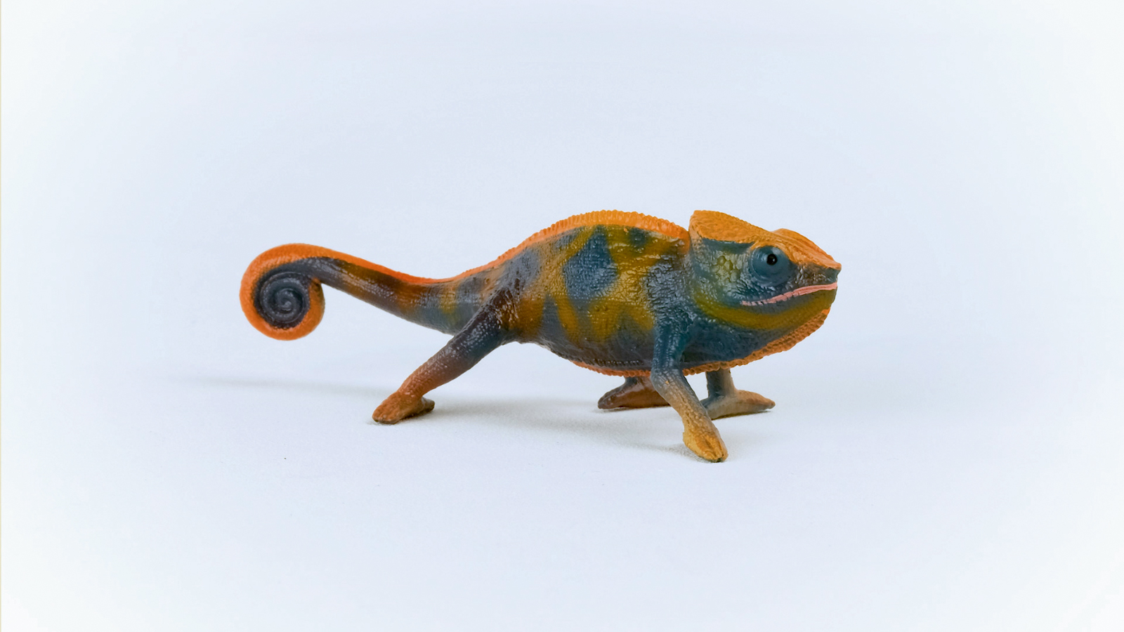 Zvířátko - Chameleon