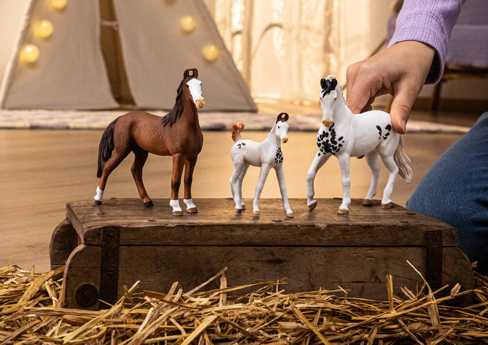 Zvířátko - Klisna marwari