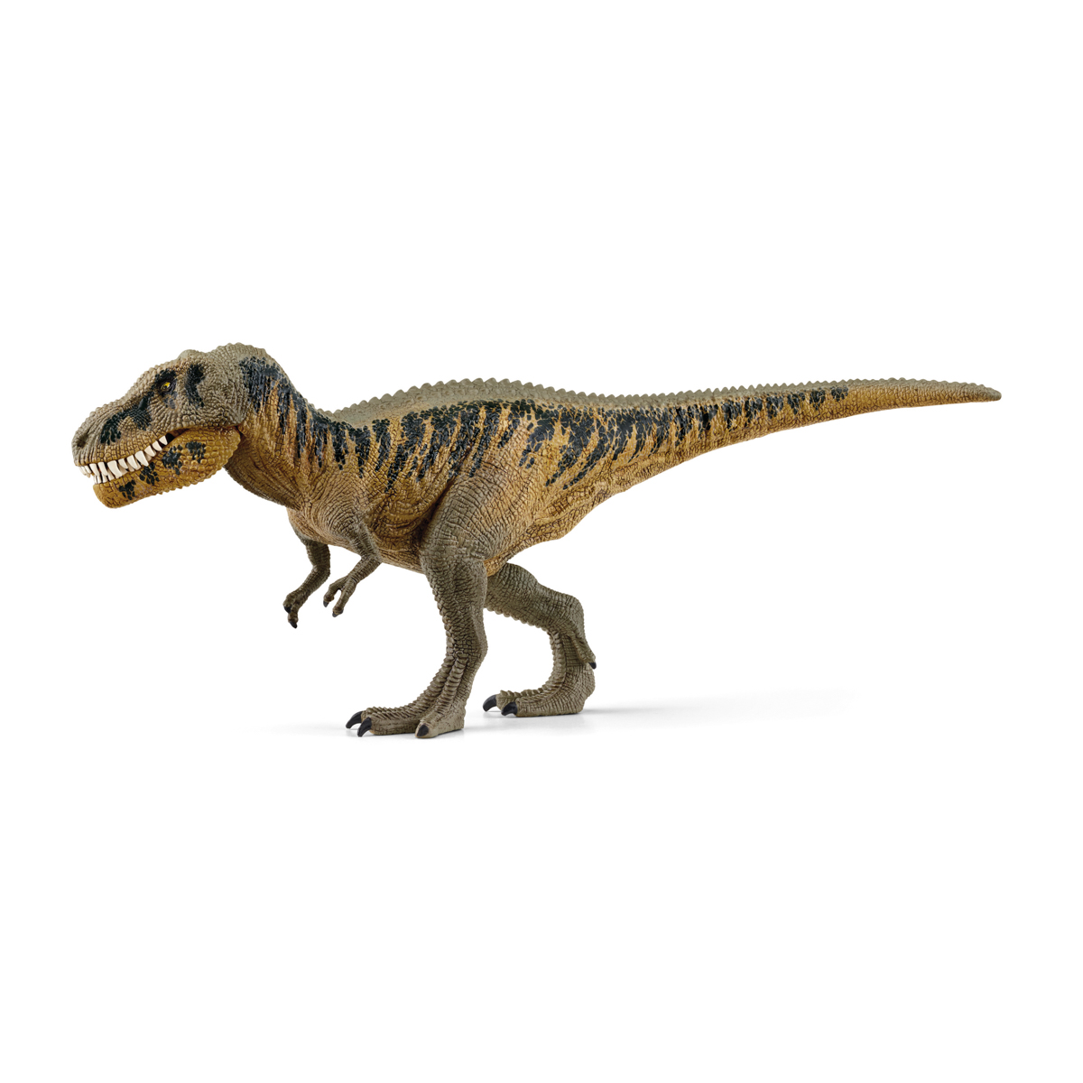 Prehistorické zvířátko - Tarbosaurus