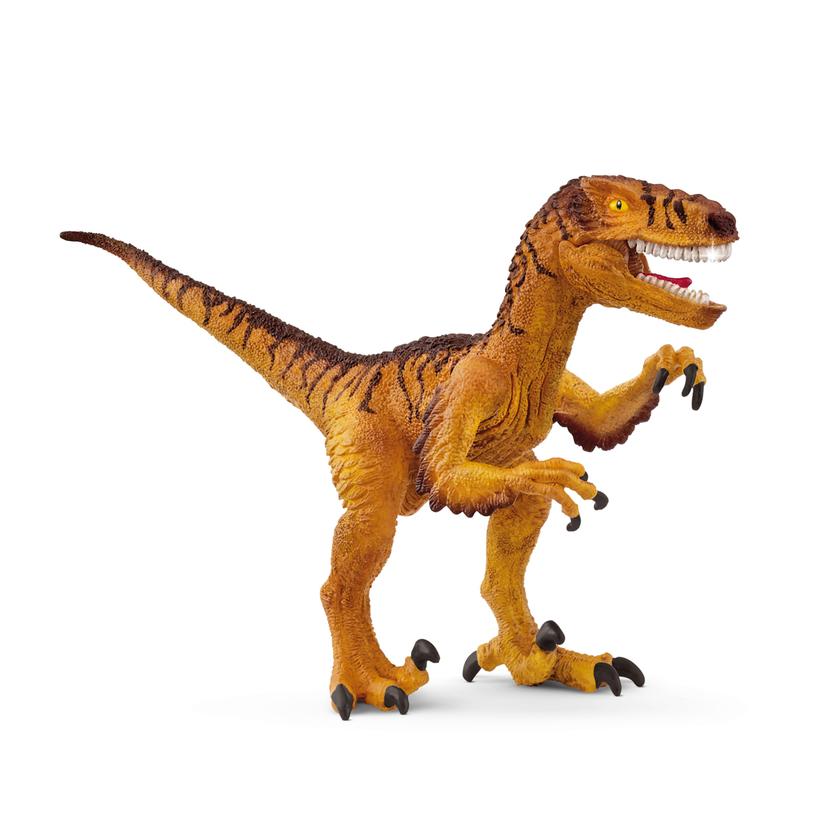 Prehistorické zvířátko - Velociraptor