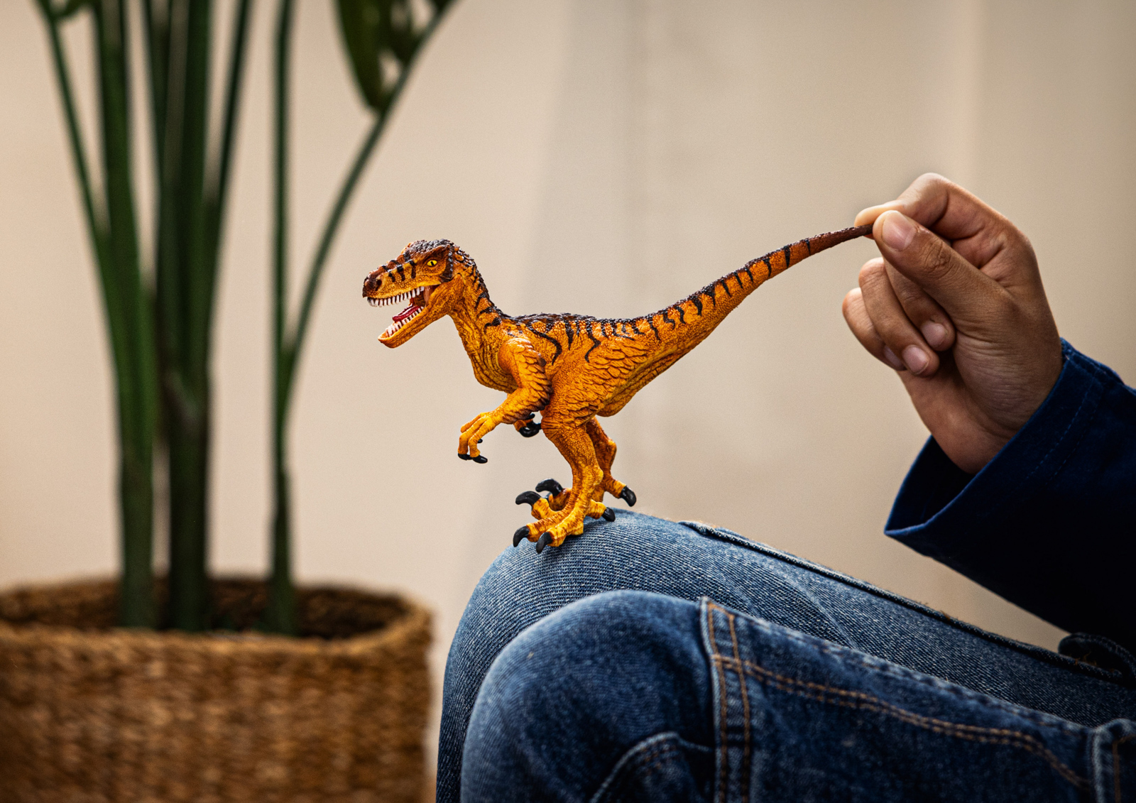 Prehistorické zvířátko - Velociraptor
