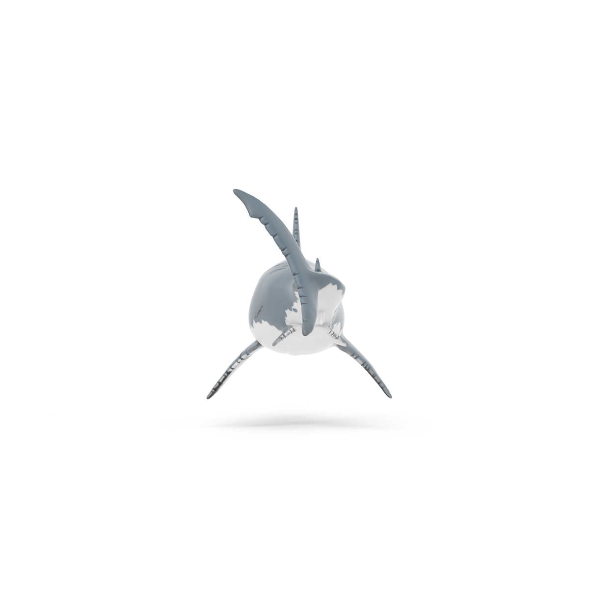 Megalodon