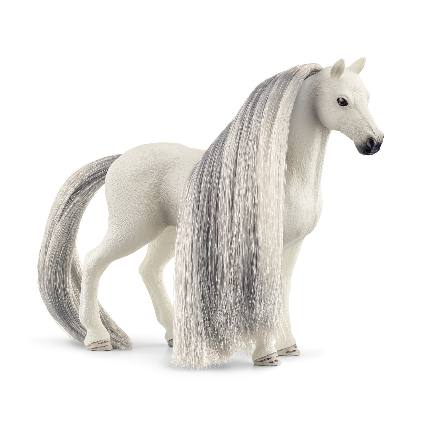Klisna plemene Quarter Horse s česací hřívou