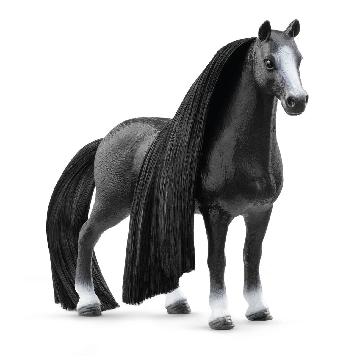Výstavní klisna plemene Quarter Horse