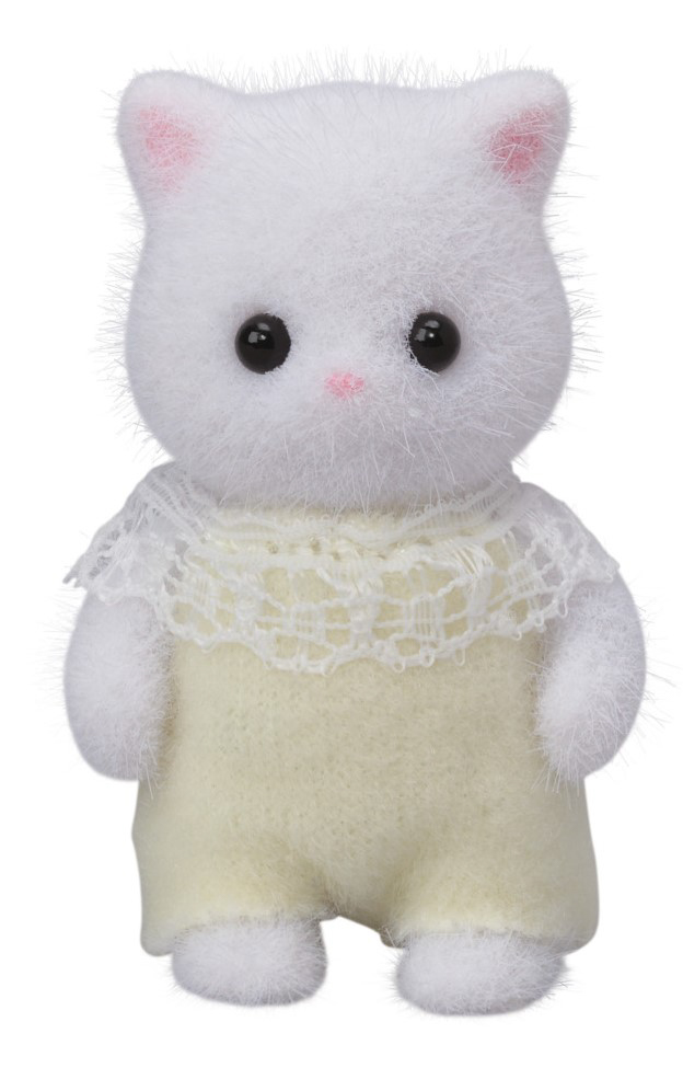 Baby perská kočka