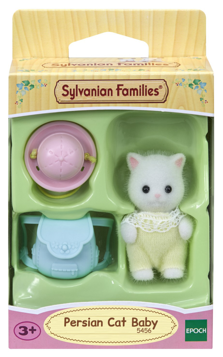 Baby perská kočka