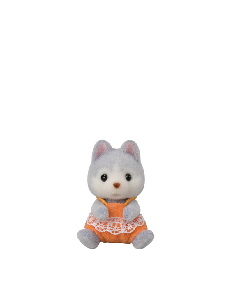 Dvojčata Husky