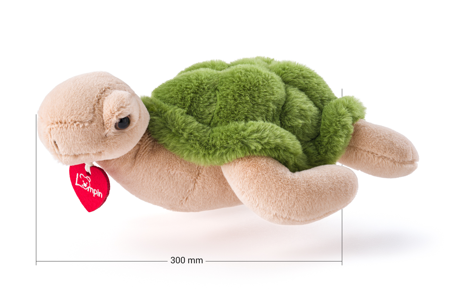 Želva Emil, 28 cm