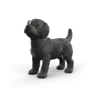 Zvířátko - černé štěně labradorského retrívra