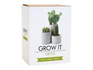 Grow it - Kaktus