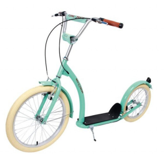 Koloběžka NILS Extreme WH222, 20/16 Mint