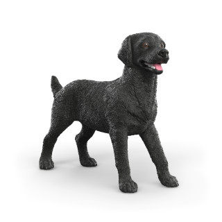 Zvířátko - černá fenka labradorského retrívra