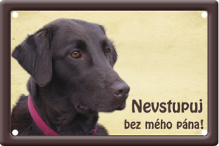 Plechové psí cedule - Flat coated retriever II.