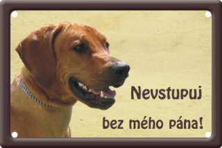 Plechová psí cedule - Rhodéský ridgebak II.
