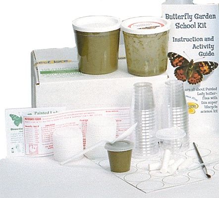 Náhradní sada 33 housenek - Certifikát v obálce